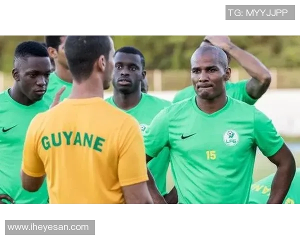 大洋洲足球队球星实力排名解析及未来发展趋势分析